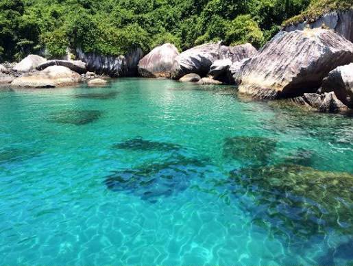 Piscina natural de águas transparentes entre rochas e mata atlântica